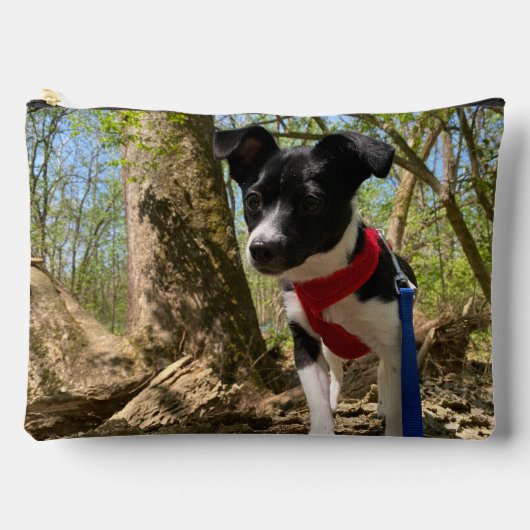 世界最高の犬の母が可愛い写真 アクセサリーポーチ (正面)