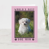世界最高の犬ママピンク母の日の写真 カード (正面)