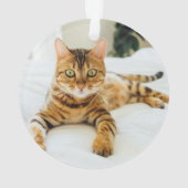 世界最高の猫 プライド ネーム 年 オーナメント (裏面)