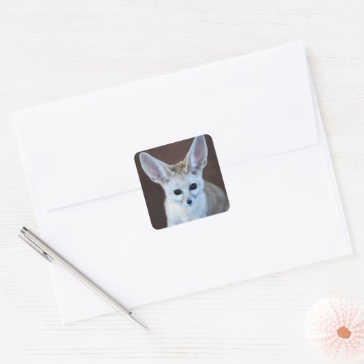 世界最高級のフェンネックキツネ スクエアシール (封筒)