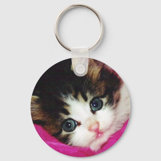 世界最高級の子猫 キーホルダー (正面)