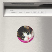 世界最高級の子猫 マグネット (インサイチュ (食洗機))