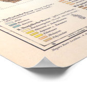 世界民族誌地図 ポスター (角)