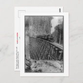 世界独身ので最も高く積み重なったトレッスル ポストカード (正面/裏面)