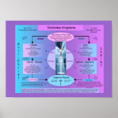 世界王国 ポスター (正面)