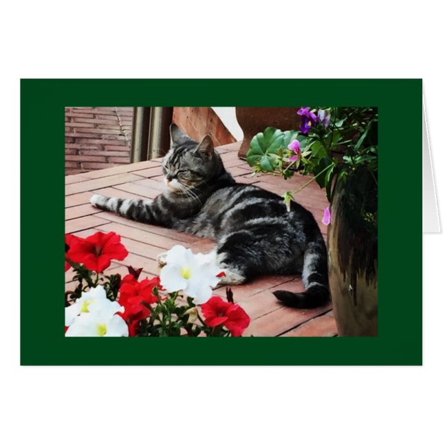 世界的なcatloversのため! (正面横)