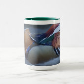 世界的に有名なセントラル・パークのオシドリ マグカップ (中央)