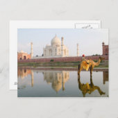世界的に有名なタージマハル寺院の埋葬場所 ポストカード (正面/裏面)