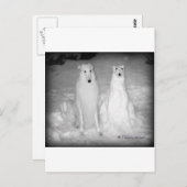 世界的に有名なミクタールと彼のスノードッグ！:) ポストカード (正面/裏面)