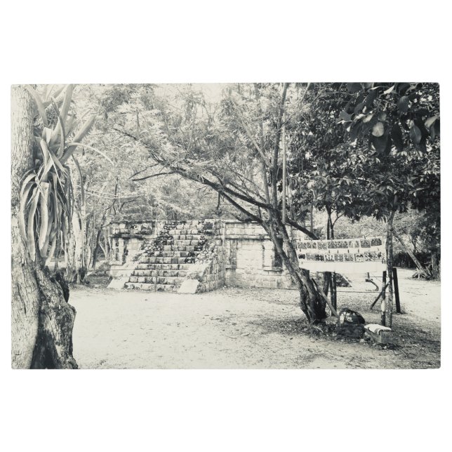 世界祝2：チセニタ メタルプリント (正面)