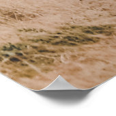 世界野生生物の日 ポスター (角)