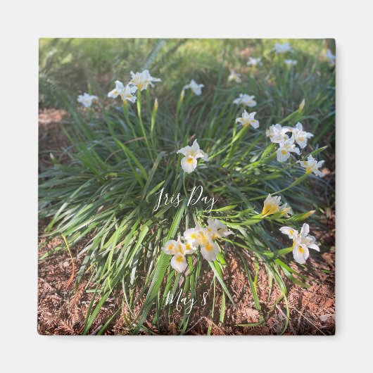 世界2祝：アイリス日 マグネット (正面)