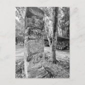 世界2:チ祝ェン・イツァーからの挨拶! ポストカード (正面)