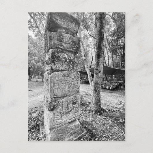 世界2:チ祝ェン・イツァーからの挨拶! ポストカード (正面)