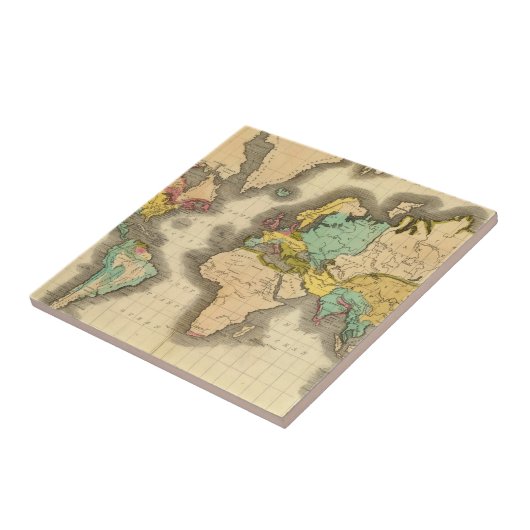 世界6 タイル (側面)