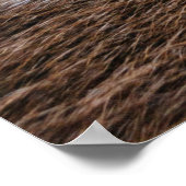 世紀の中 ポスター (角)