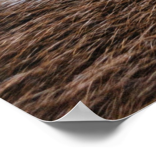 世紀の中 ポスター (角)