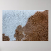 世紀の中 ポスター (正面)