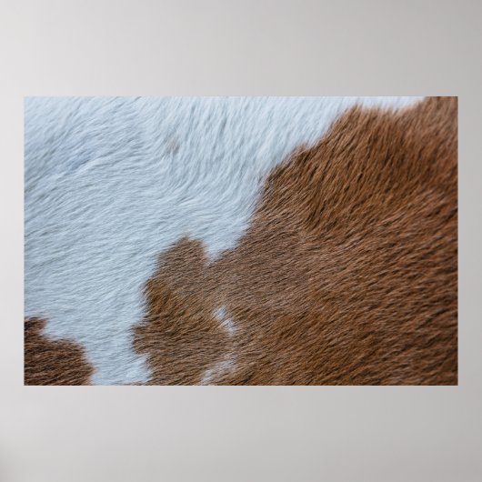 世紀の中 ポスター (正面)