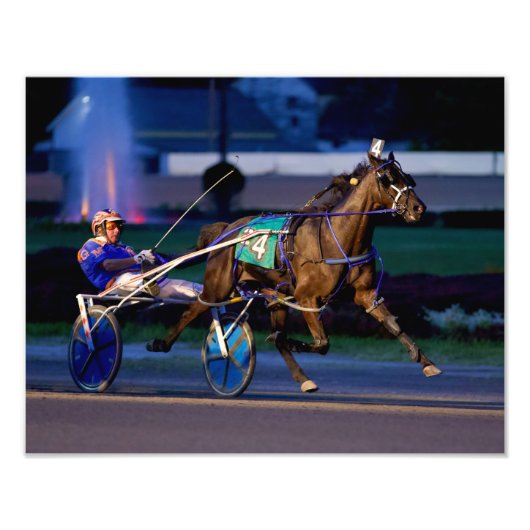 世紀の努力 フォトプリント            (正面)