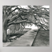 世紀の木 ポスター (正面)