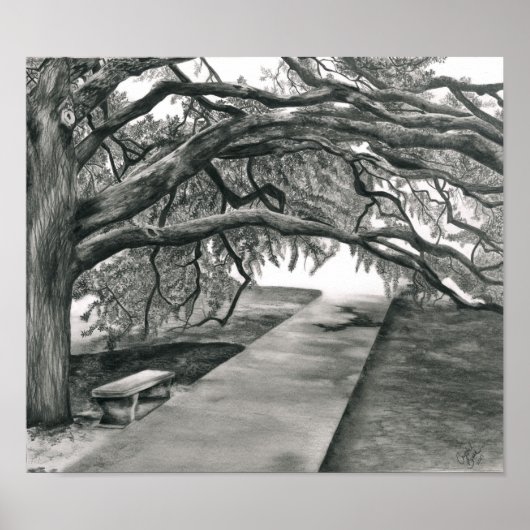 世紀の木 ポスター (正面)