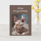 丘おもしろいの猫の動物の上に古いシワ カード (黄色い花)