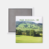 丘に緑の木 マグネット (正面/裏面)