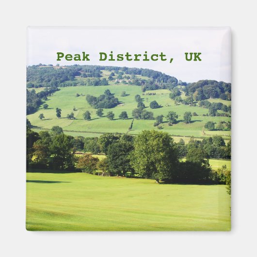 丘に緑の木 マグネット (正面)