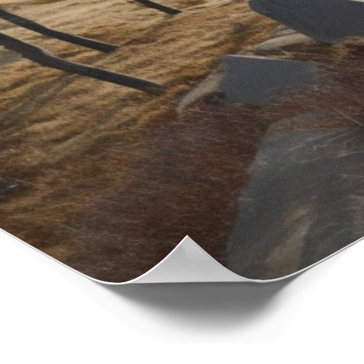 丘のハイカー ポスター (角)