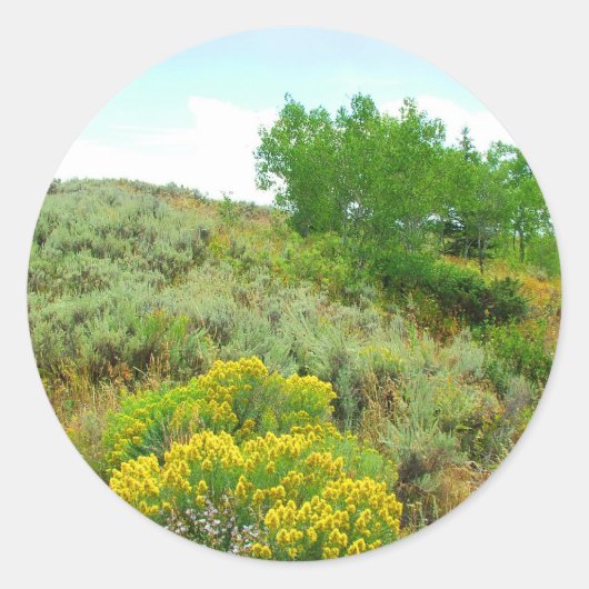 丘の上に、グランドテトン国立公園。 ラウンドシール (正面)