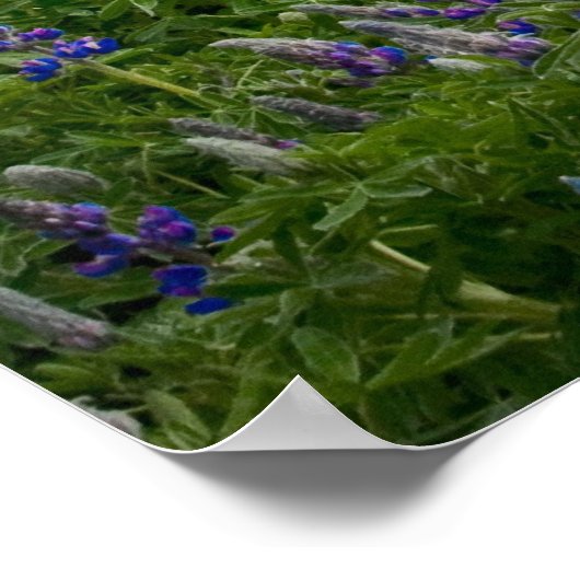 丘の上の教会 ポスター (角)