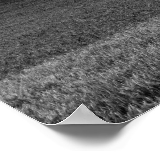 丘の上の木 ポスター (角)