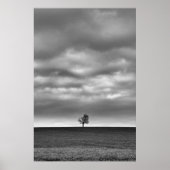 丘の上の木 ポスター (正面)