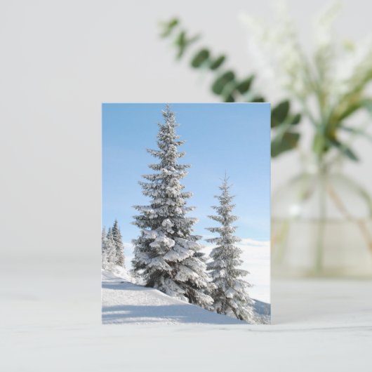 丘の上の木 ポストカード (スタンド正面)