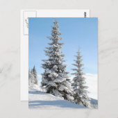 丘の上の木 ポストカード (正面/裏面)