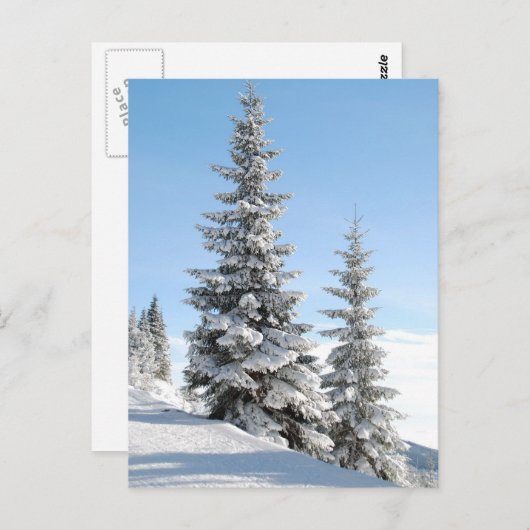 丘の上の木 ポストカード (正面/裏面)