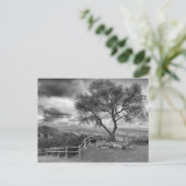 丘の上の木 ポストカード (スタンド正面)