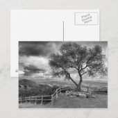 丘の上の木 ポストカード (正面/裏面)