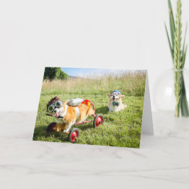 丘の上の科学者のコギ空白のス カード