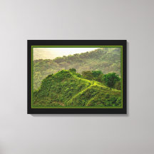 丘の上の緑の森