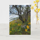 丘の上の美しい野草の写真 カード (黄色い花)