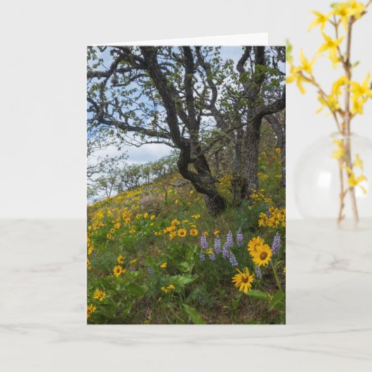 丘の上の美しい野草の写真 カード (黄色い花)