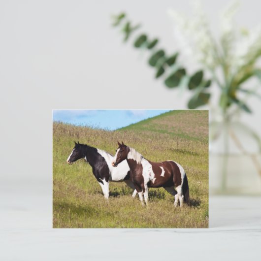 丘の上の馬 ポストカード (スタンド正面)