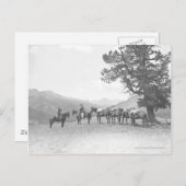 丘の上を見ている荷馬を持つ男性 ポストカード (正面/裏面)