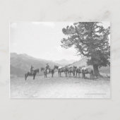 丘の上を見ている荷馬を持つ男性 ポストカード (正面)