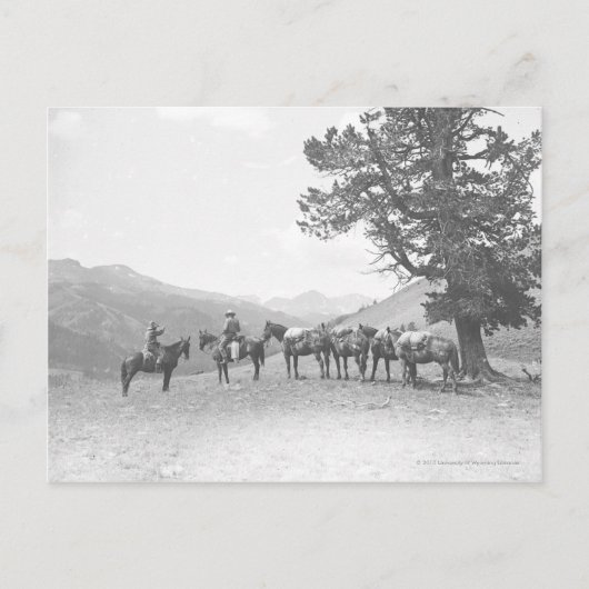 丘の上を見ている荷馬を持つ男性 ポストカード (正面)