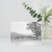 丘の上を見ている荷馬を持つ男性 ポストカード (スタンド正面)