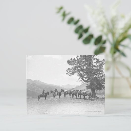 丘の上を見ている荷馬を持つ男性 ポストカード (スタンド正面)