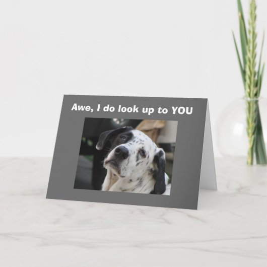 丘の上を見上げる カード (正面)